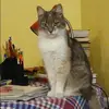 Отзыв от Алена Николаева